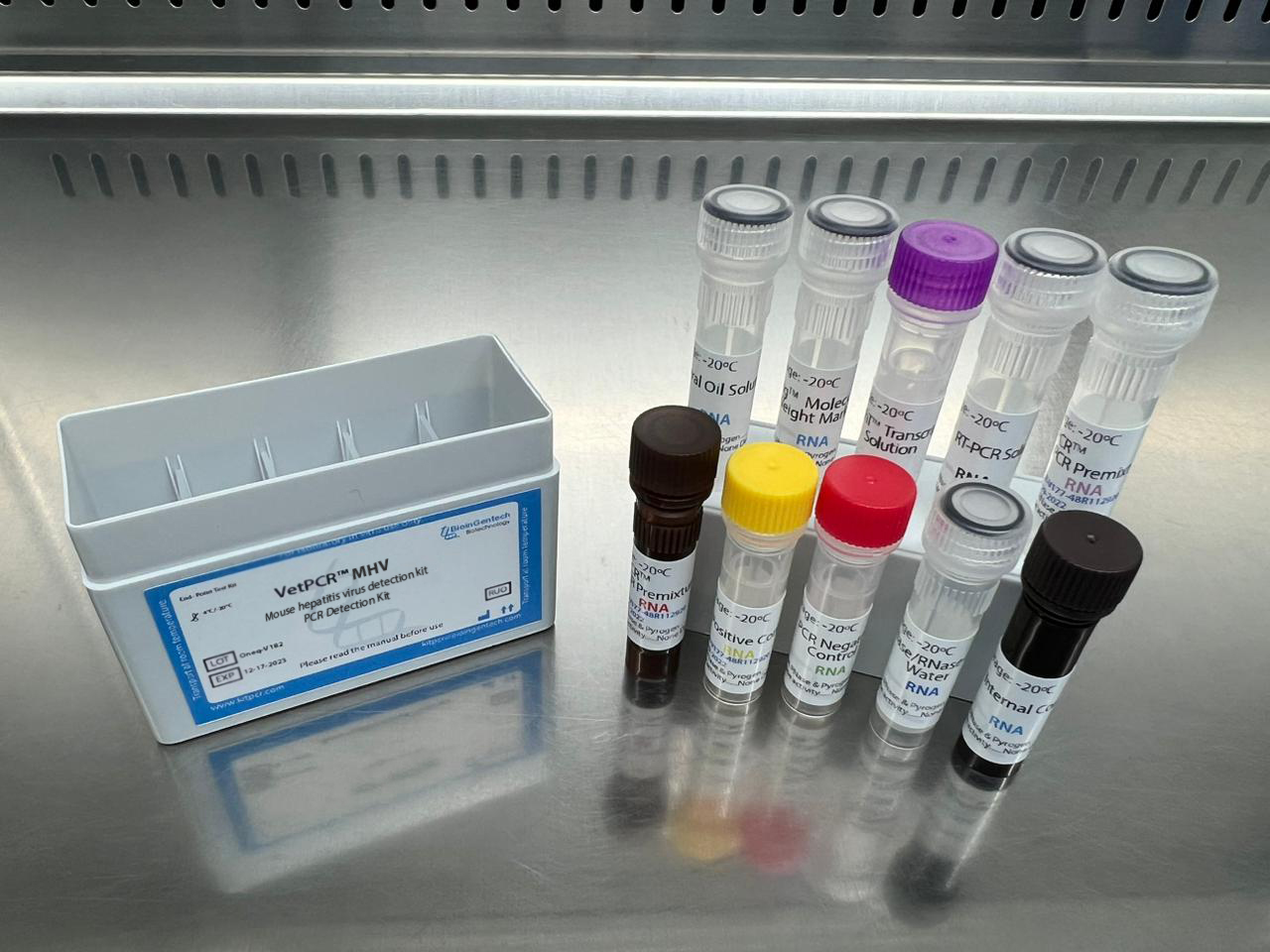 hepatitis virus laboratory equipment