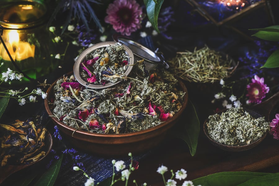 indigenous plants herbal tea blend