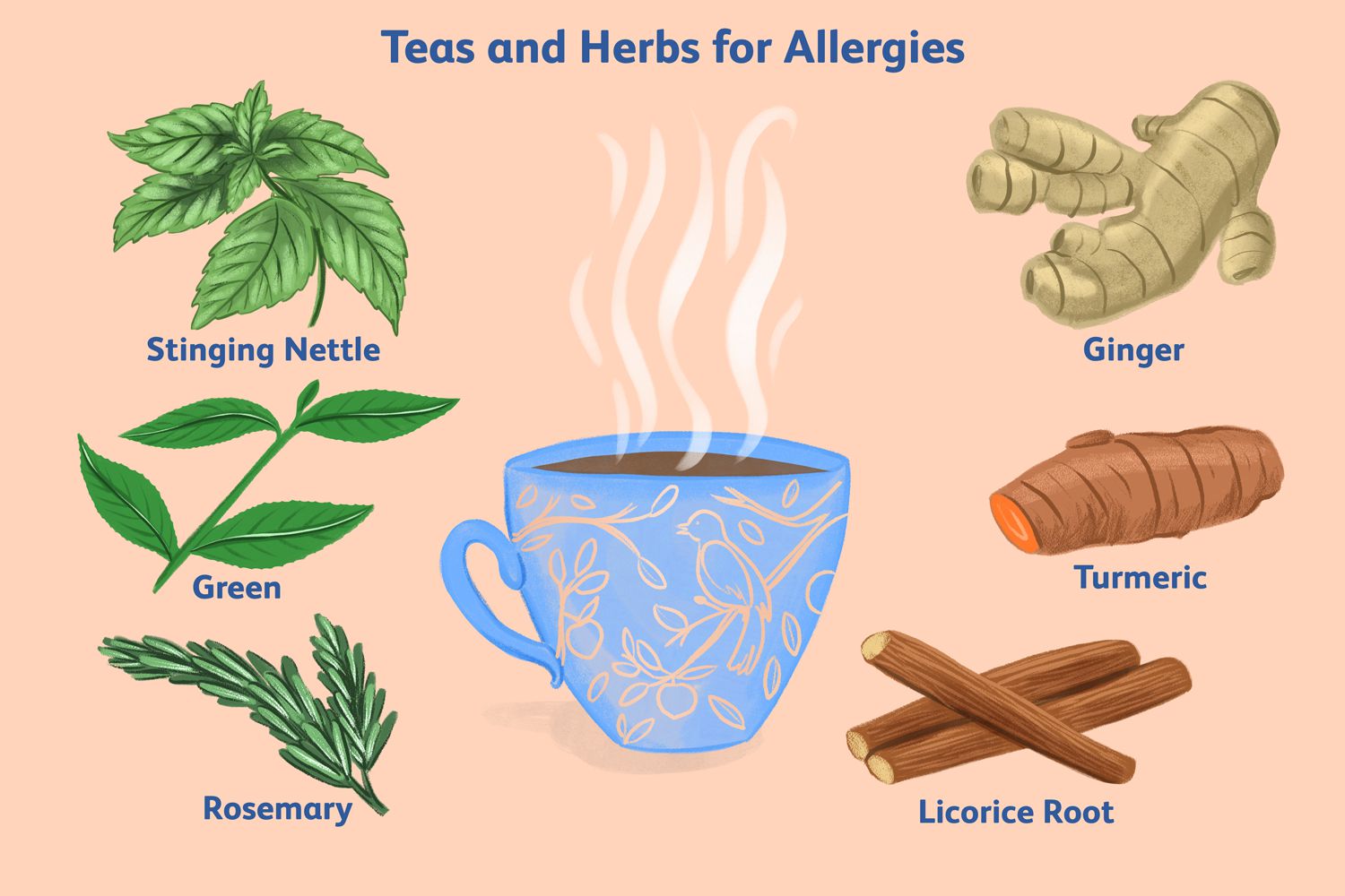 herbs natural allergy remedies