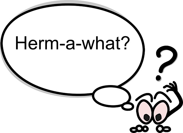 hermeneutics texts art