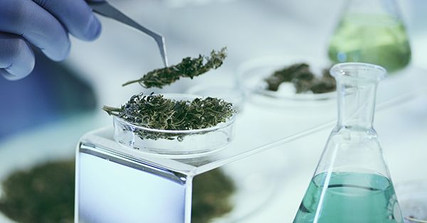 chemical lab equipment and cannabinoid products