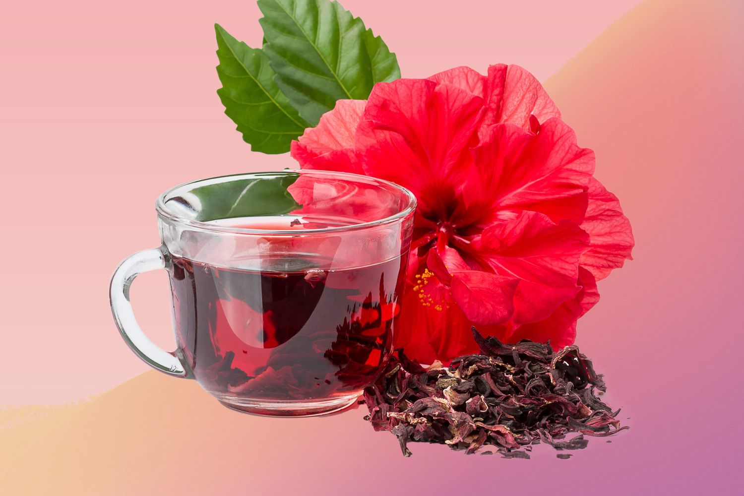 hibiscus tea cup and leaves