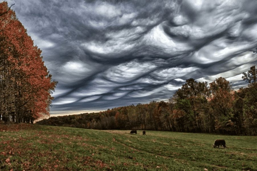 hobby-meteorologist-essential-knowledge-iqzsnw49