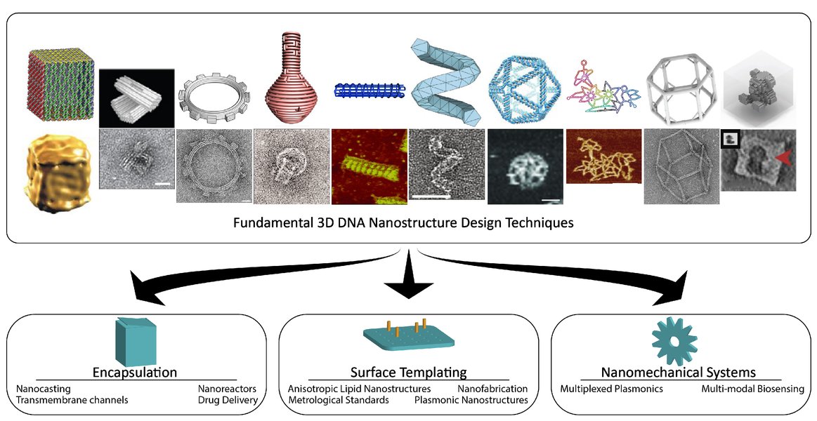 hollow-3d-dna-crystal-research-methods-luu7o160