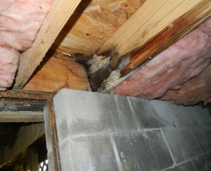 homeowner-liability-worker-injury-analysis-jthf64lo