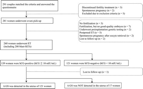 ivf treatment clinical setting