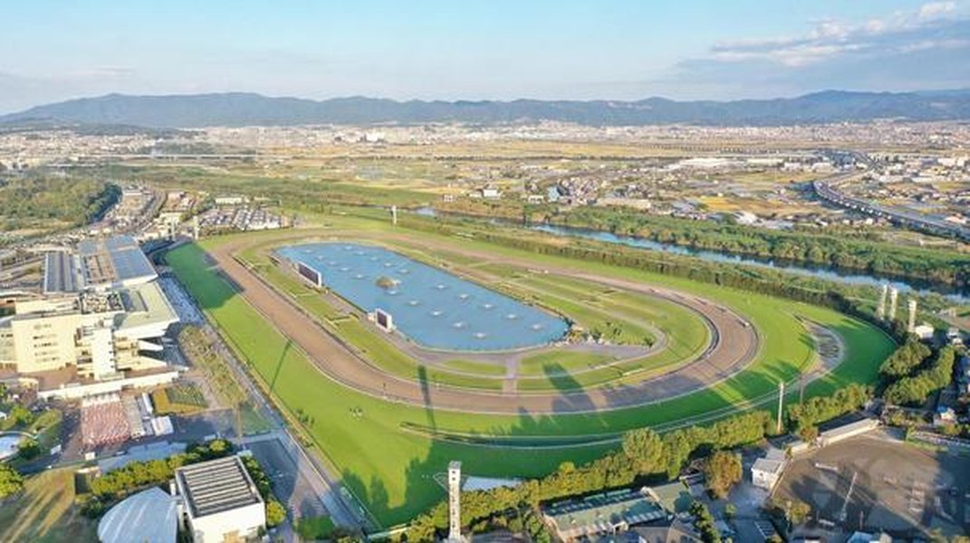 パドックを周回する競走馬たち
