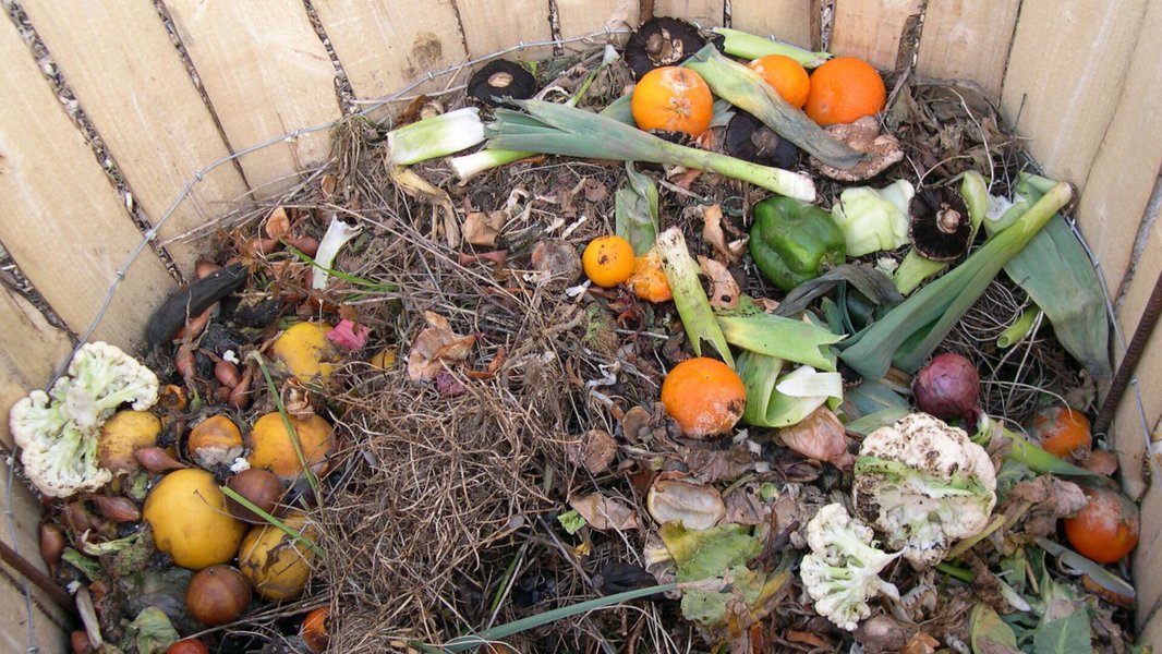A well-maintained compost bin, ready for decomposition.