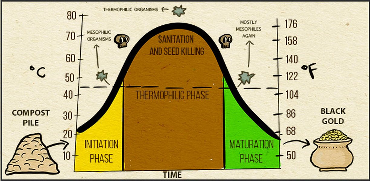 A diagram illustrating temperature fluctuations within a compost pile over time, showing initial heating, sustained high temperatures, and eventual cooling as decomposition progresses.