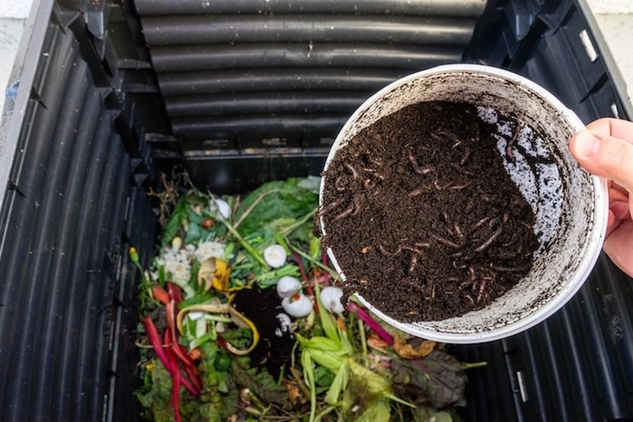 A vermicomposting bin, showcasing layers of organic material being processed by composting worms.