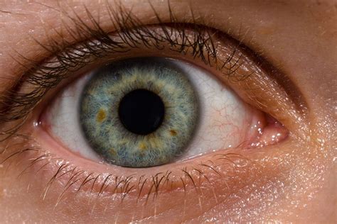 color vision human eye