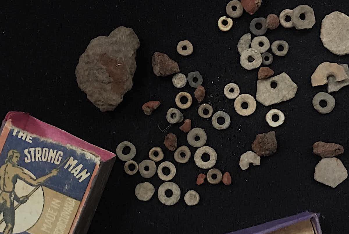 advanced technology and ancient biological structures