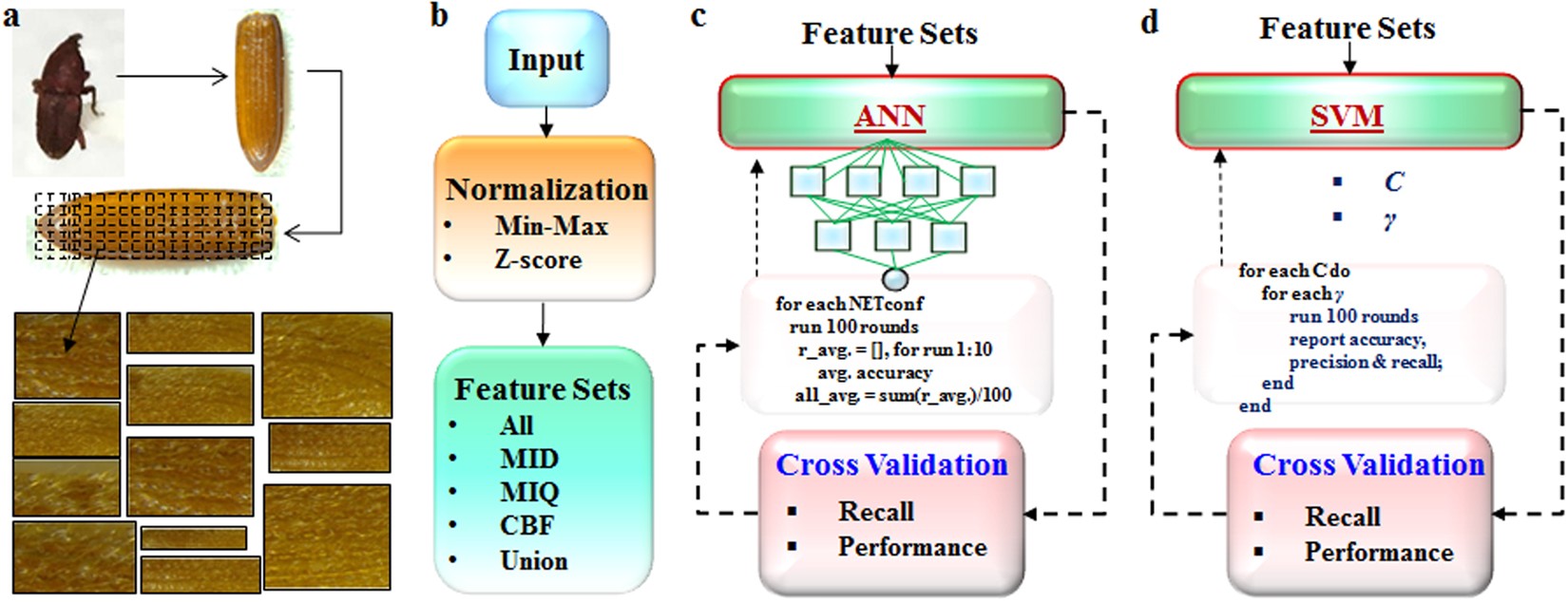 deep learning svm combination
