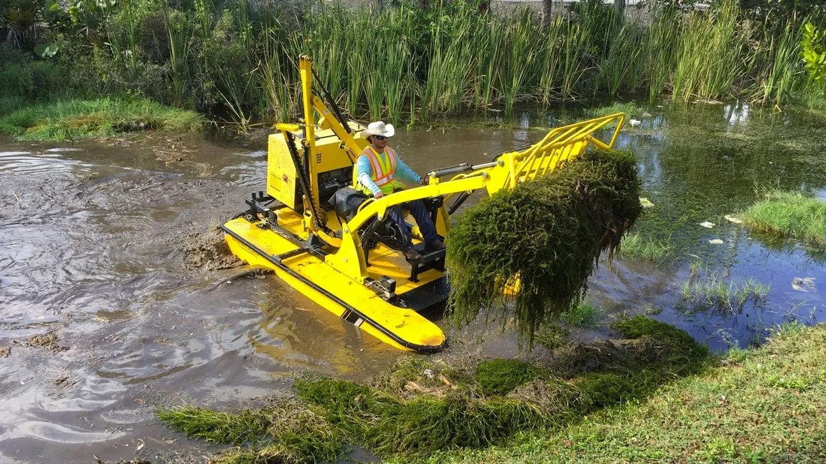 aquatic weeds removal