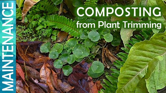 aquatic plant composting process