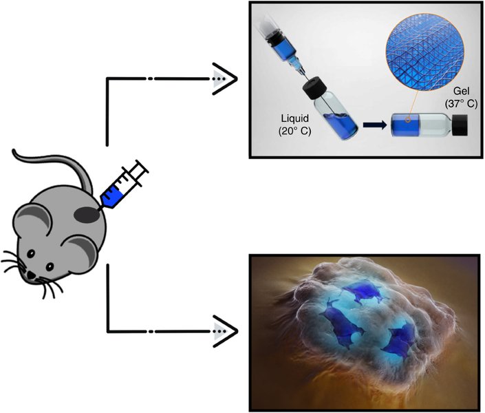 hydrogel-lcst-properties-a5914pax