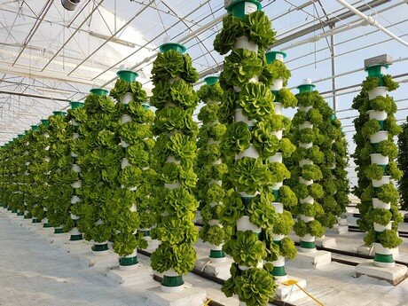 indoor farming hydroponic system