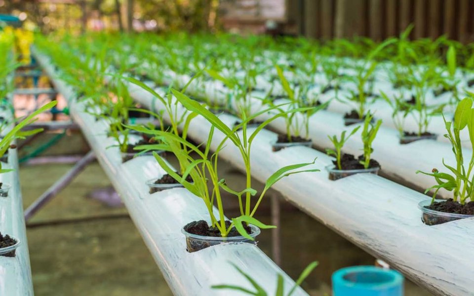 hydroponics-feasibility-study-guide-set7nid2