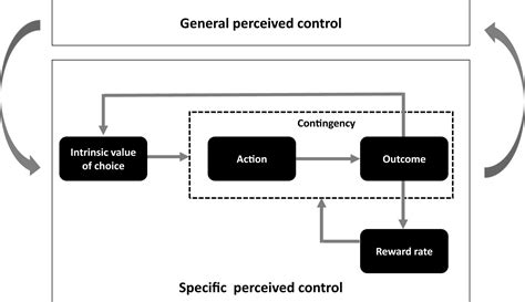 reward processing experiments laboratory