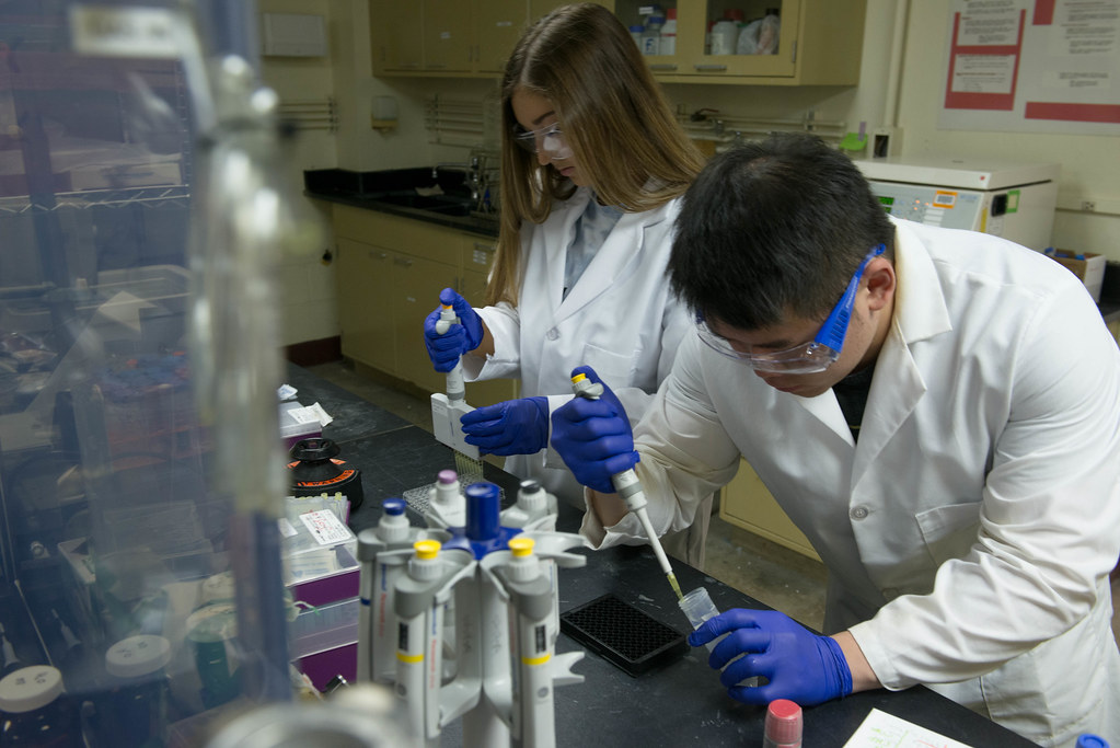 immune system research laboratory