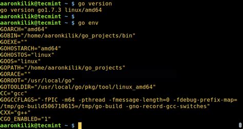 How to Install GoLang (Go Programming Language) in Linux