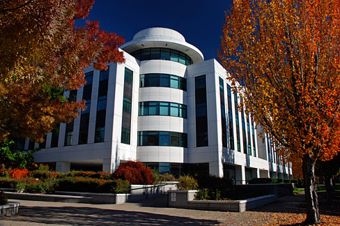 state welfare programs building