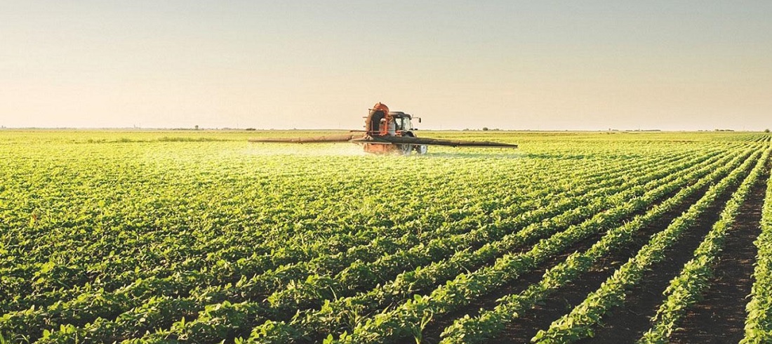 fields seed imports