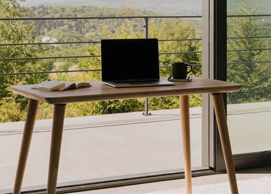 Dutch language books writing desk