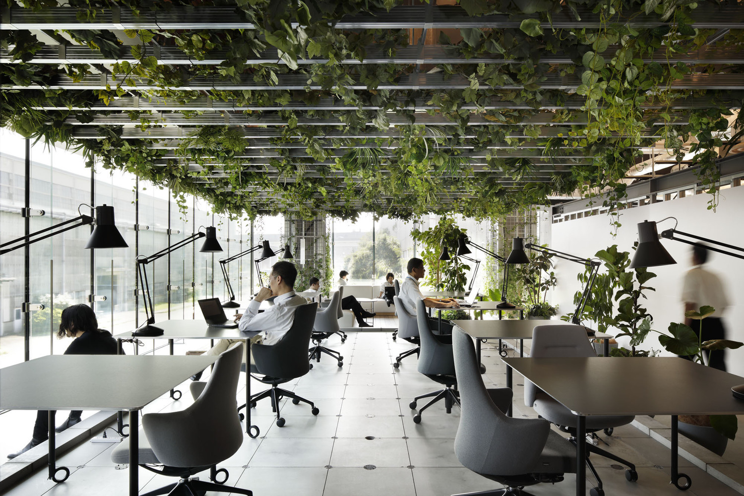 organized workspace with nature elements