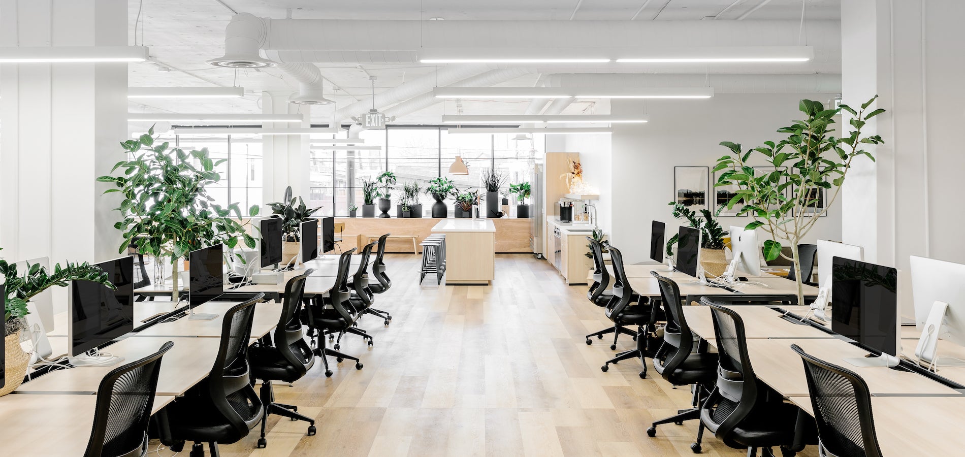 creative design assets and library workspace
