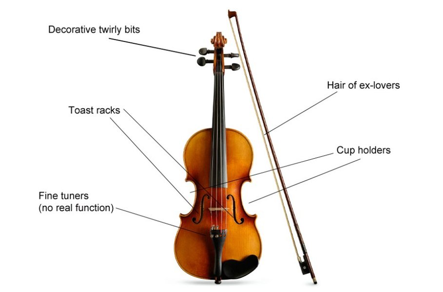 musical instrument detailed view