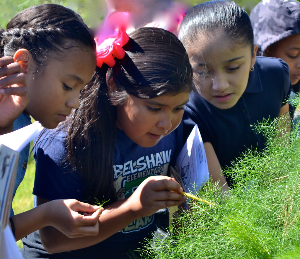 school environment nature