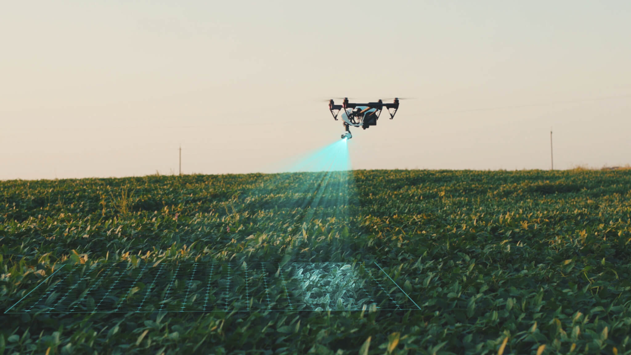 agricultural field drones sensors
