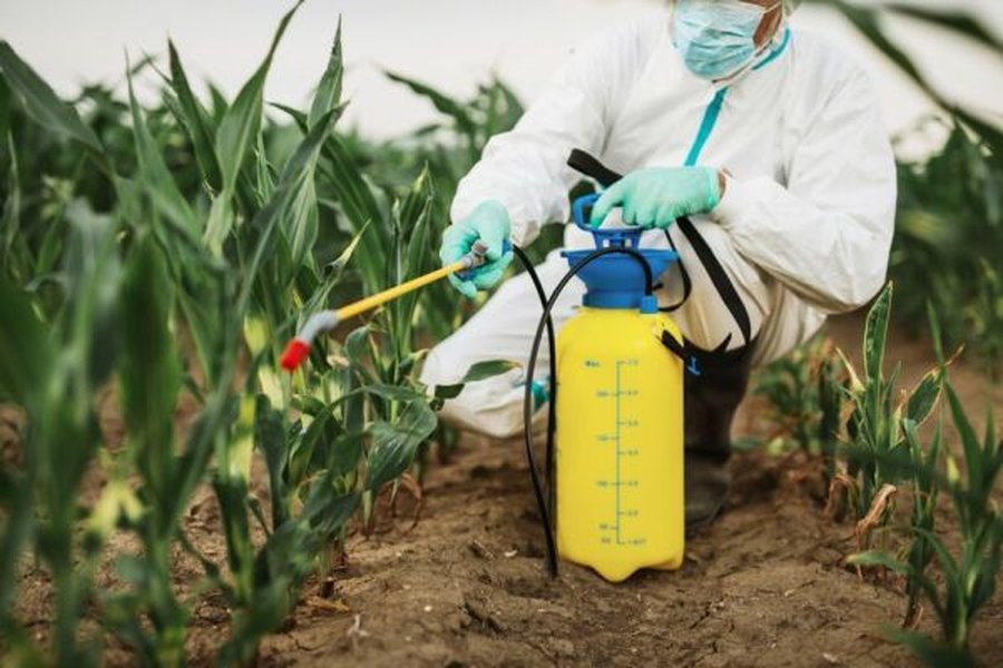 integrating-biological-pest-control-jzuchwmn