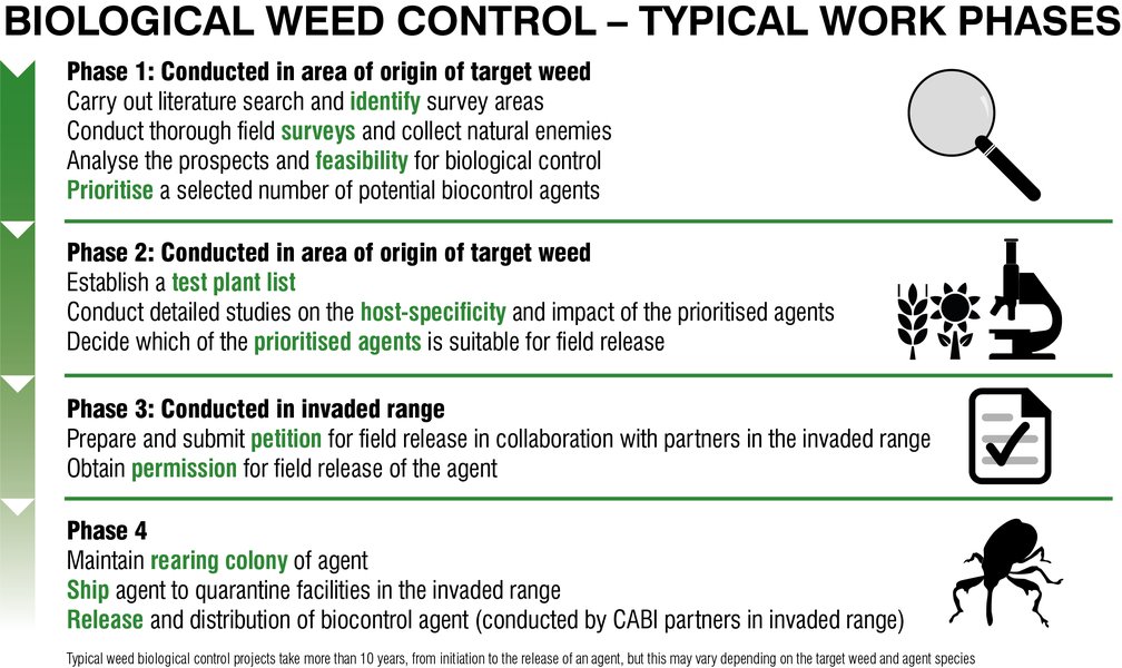 Ithy - Integrative Biological Control in Crop Protection