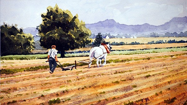 rural scenery farmer fields