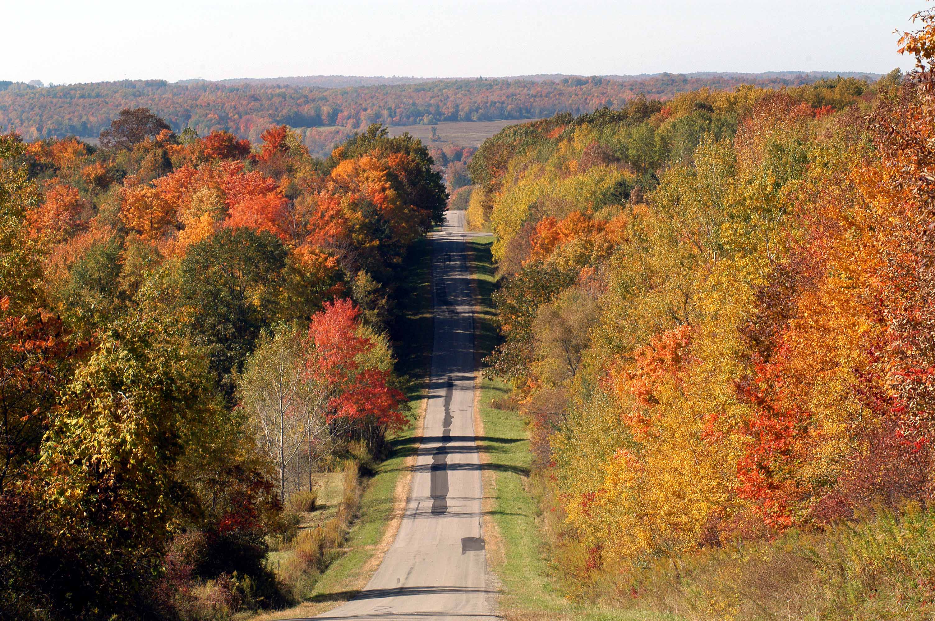 scenic pathway and open road