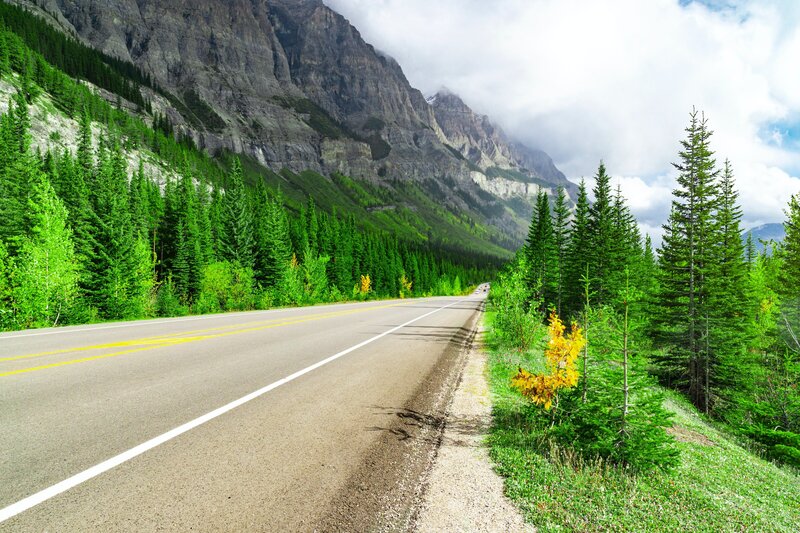 scenic financial journey