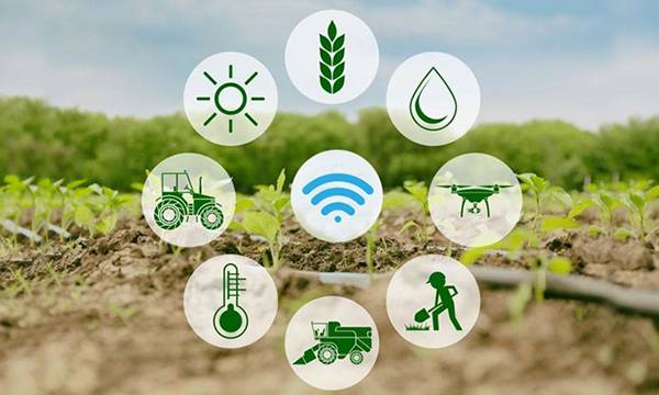 smart farming sensors field