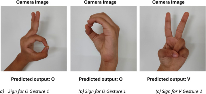 real world indian hand gesture detection