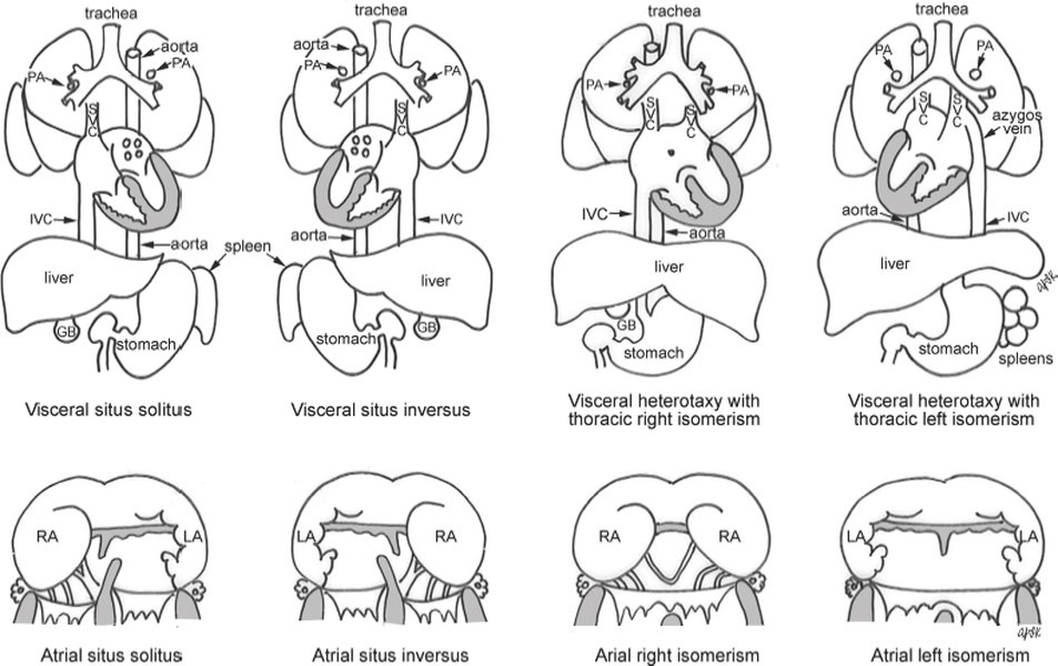 isomeric-situs-explained-29nvan0w