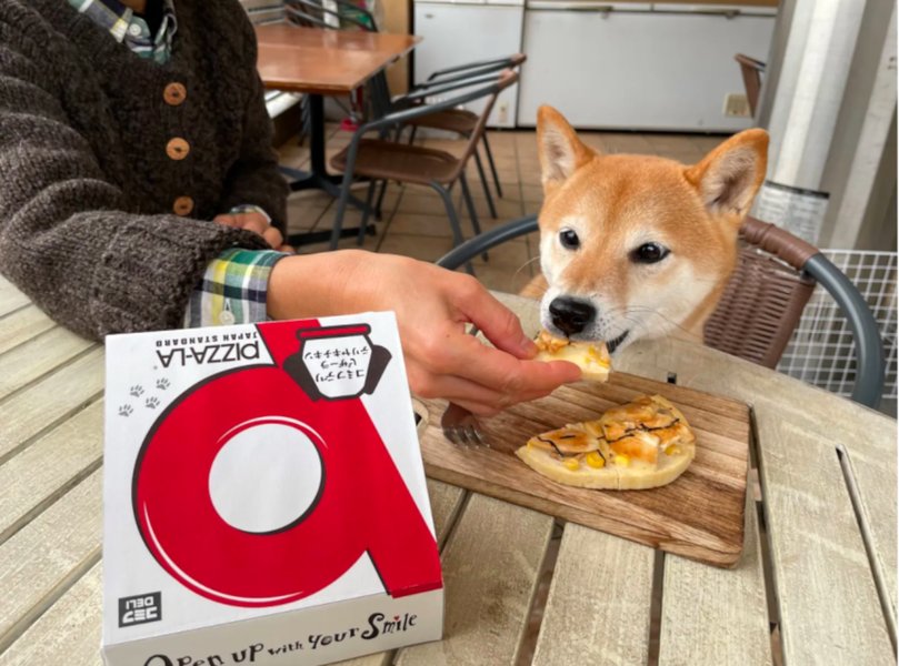 it-eats-pizza-japanese-qelqiy8s