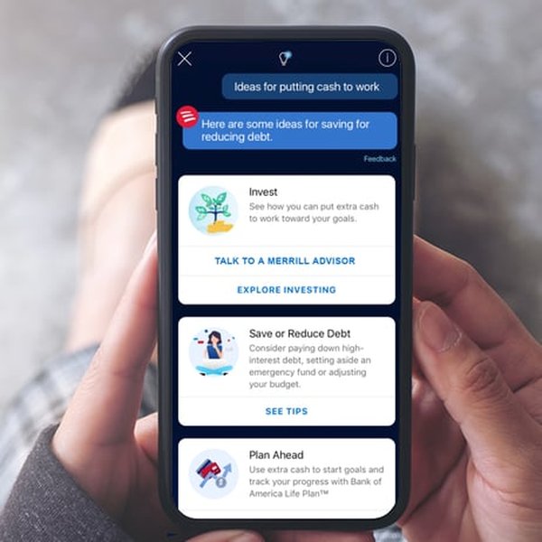 Example of a chatbot user interface
