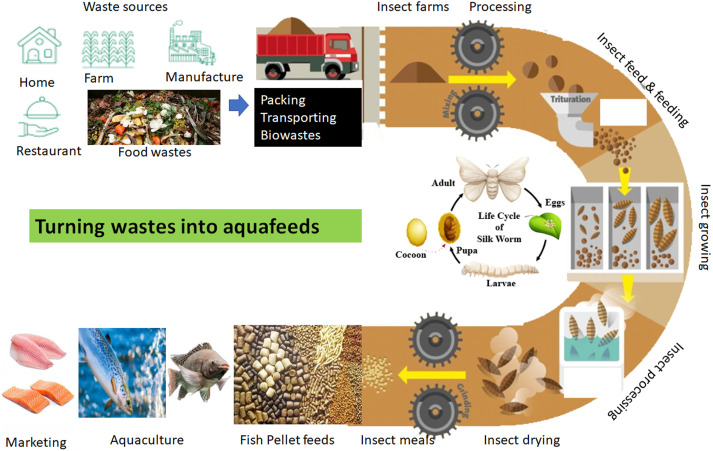 agricultural seeds, eggs, aquaculture feed ingredients