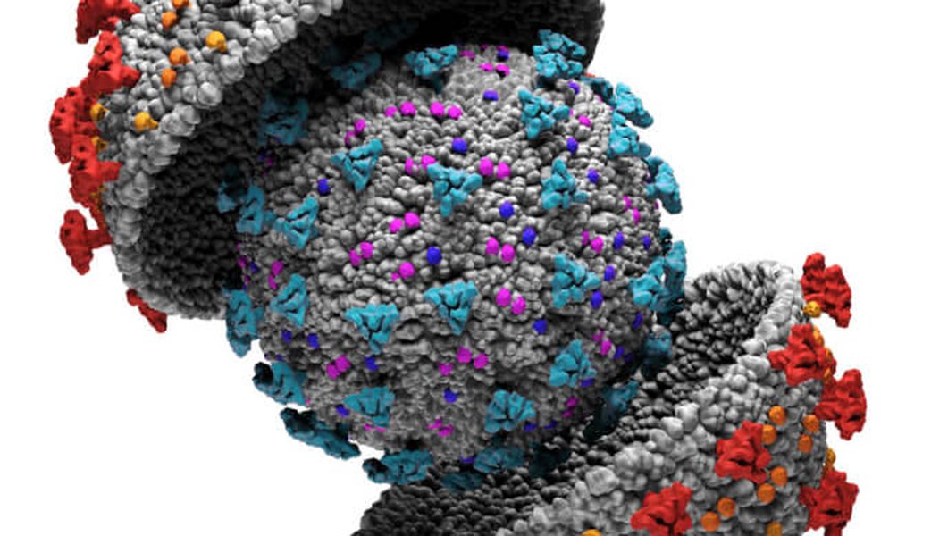 jak2-computational-experimental-approach-cynj0omv