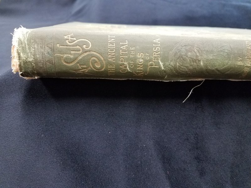 Couverture du livre 'At Susa' relatant les découvertes
