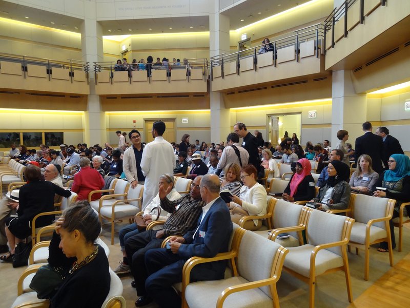 jewish-support-multiculturalism-cis-report-gowo7hkk