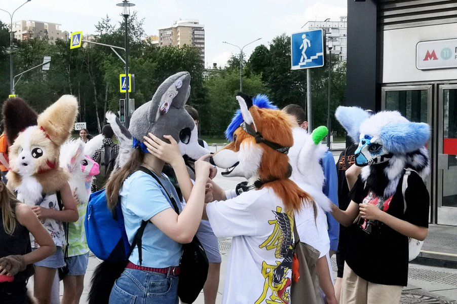 joining-furry-community-guide-822ojc9w
