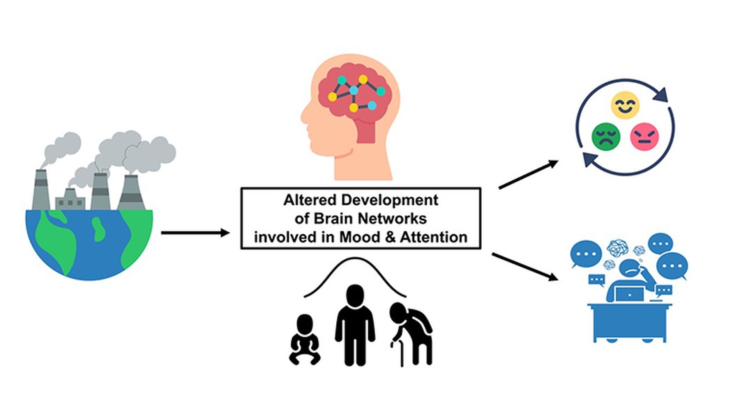 Graphic illustrating air pollution's impact on the brain