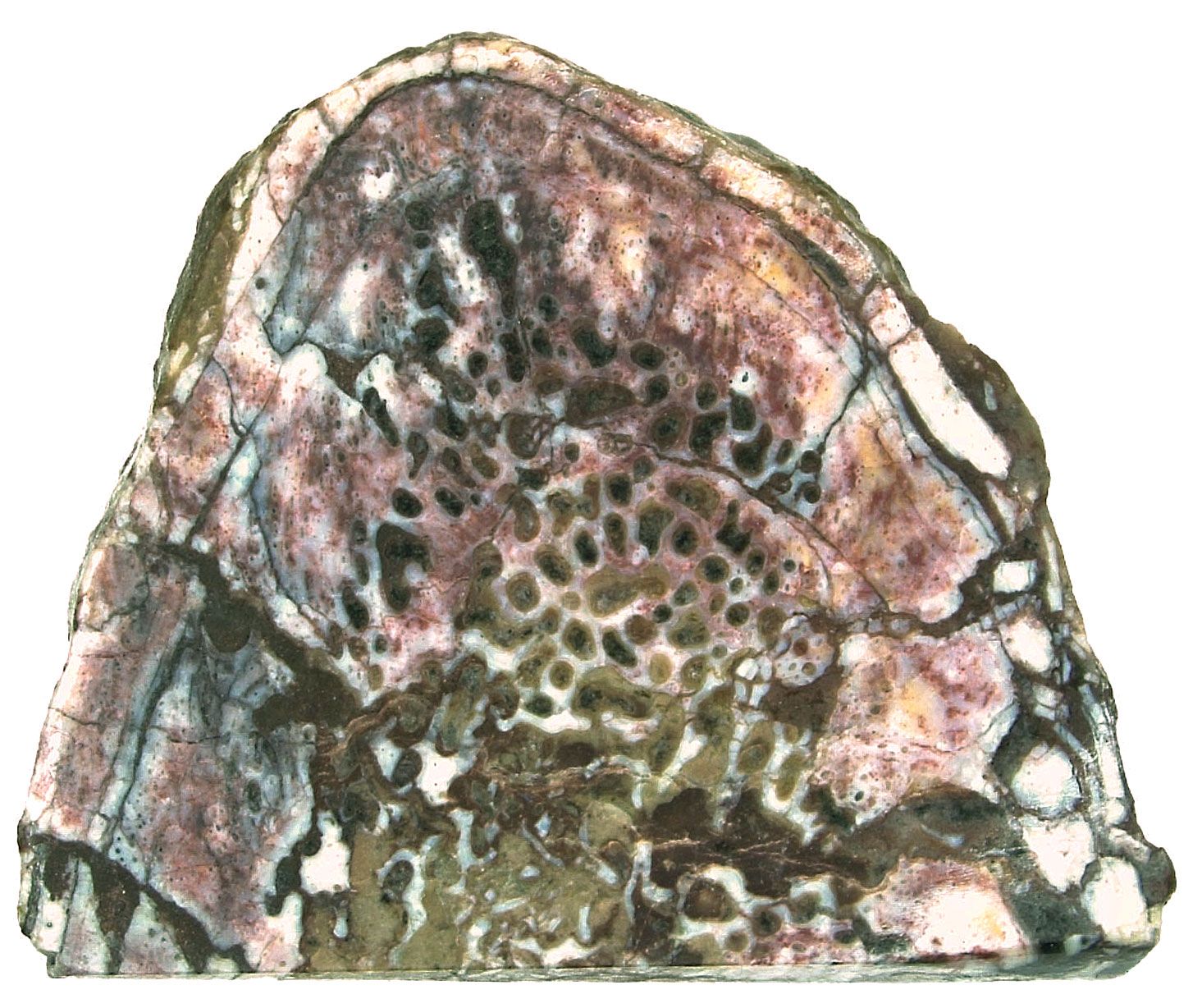 upper jurassic coastal sedimentary structures